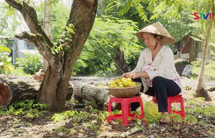 Nét Việt - Một Chục ở quê 02-12-2017