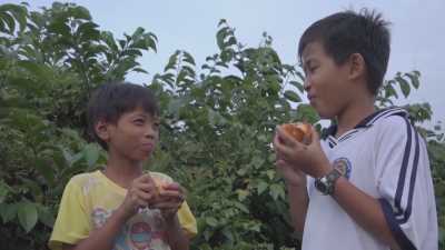 Nét Việt - Mùa Bình bát 10-05-2016