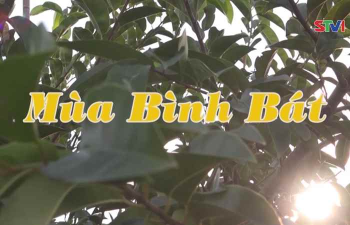 Nét Việt - Mùa Bình Bát 23-04-2017