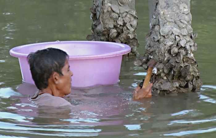 Nét Việt - Mưu sinh cùng đá 07-11-2017