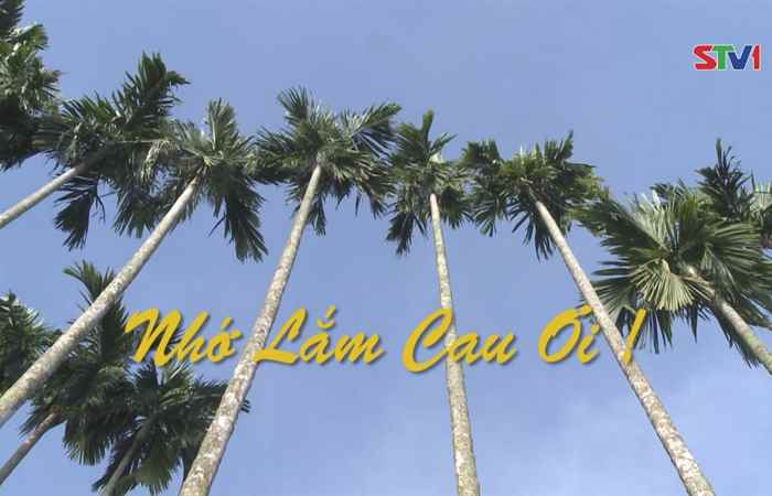 Nét Việt - Nhớ Lắm Cau Ơi 01-01-2018