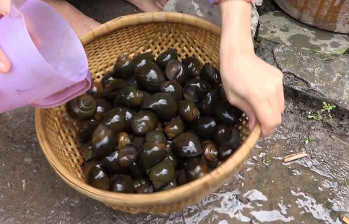 Nét Việt - Nước ốc quê nhà 08-06-2017