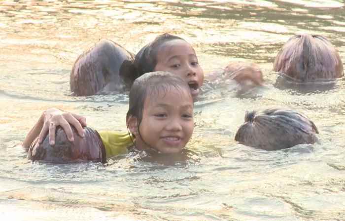 Nét Việt - Tập bơi 02-06-2017