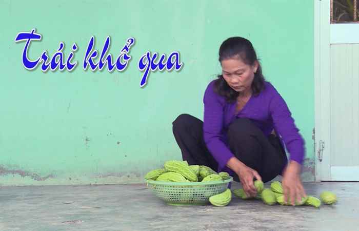 Nét Việt - Trái khổ qua 05-06-2017