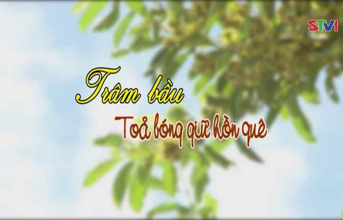 Nét Việt - Trâm Bầu Tỏa Bóng Giữa Hồn Quê 09-04-2017