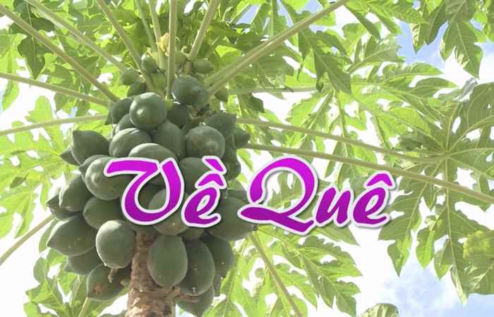 Nét Việt - Về quê 26-05-2017