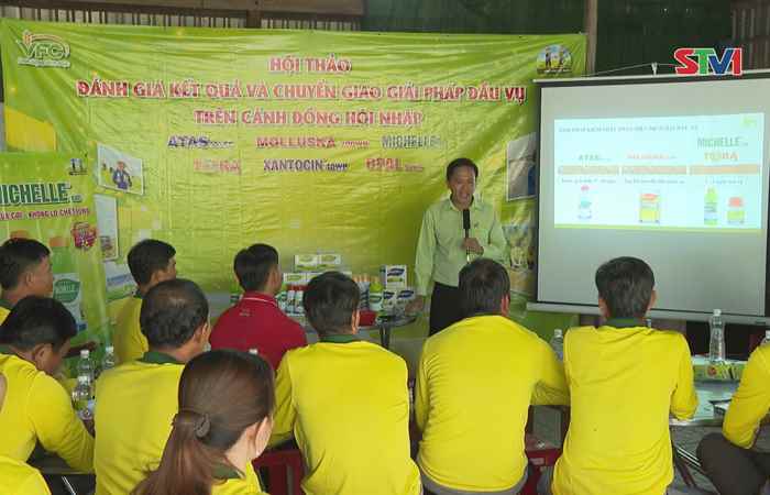  Ngày hội thu hoạch - Đánh giá kết quả và chuyển giao giải pháp dầu vụ trên cánh đồng đầu vụ (15-03-2024)