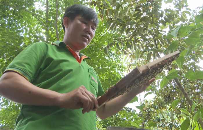 Bí thư Chi bộ ấp gương mẫu trong học và làm theo Bác (05-06-2023)