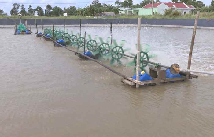 Người dân Sóc Trăng tập trung chăm sóc ao nuôi tôm sau bão