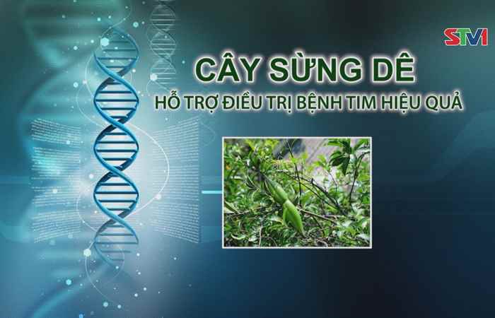 Nhịp cầu y tế 04-11-2017