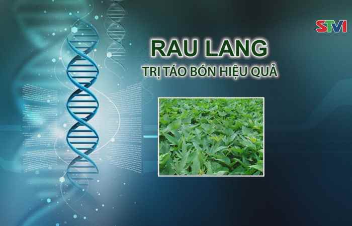 Nhịp cầu y tế 11-11-2017