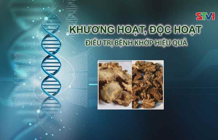 Nhịp cầu y tế 30-12-2017