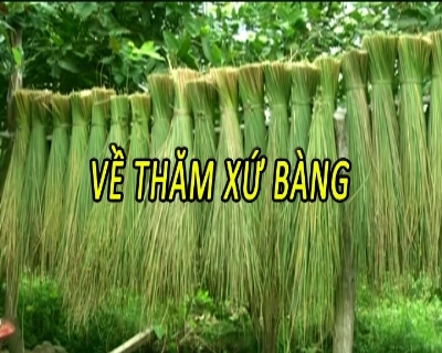 Nhịp sống phương nam 28-01-2015