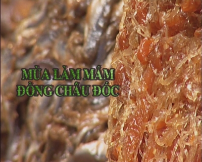 Nhịp sống phương nam - Mùa làm mắm đồng Châu Đốc