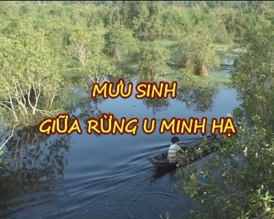 Nhịp sống phương nam - Mưu sinh giữa rừng U Minh Hạ
