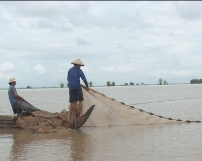 Nhịp sống phương nam - Mưu sinh mùa nước nổi