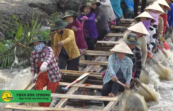Nhộn nhịp tập luyện của đội ghe Ngo nam, nữ chùa Ô Chum