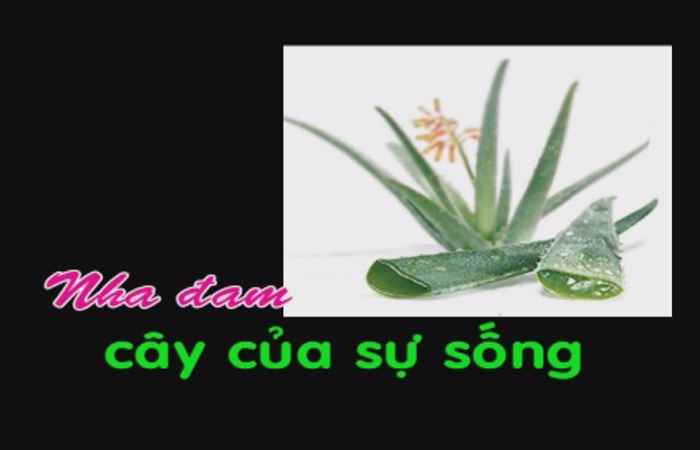 Những món ăn kỵ nhau 23-10-2017