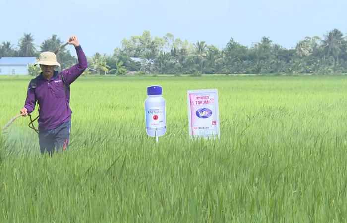 Nichino đồng hành cùng người trồng lúa (15-07-2019)