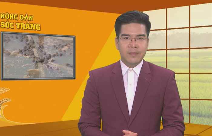 Nông dân Sóc Trăng 28-05-2020