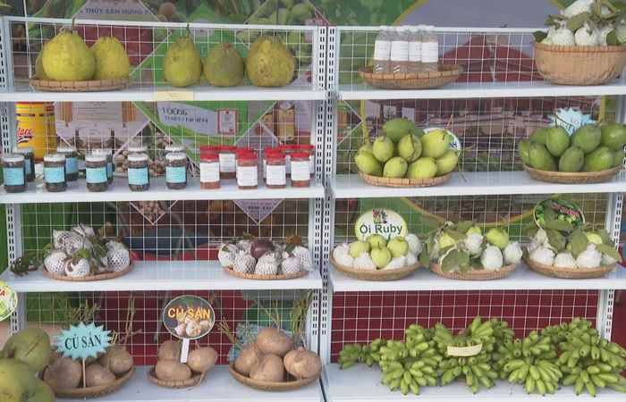 Chuyên mục: Nông dân Sóc Trăng (31-03-2023)