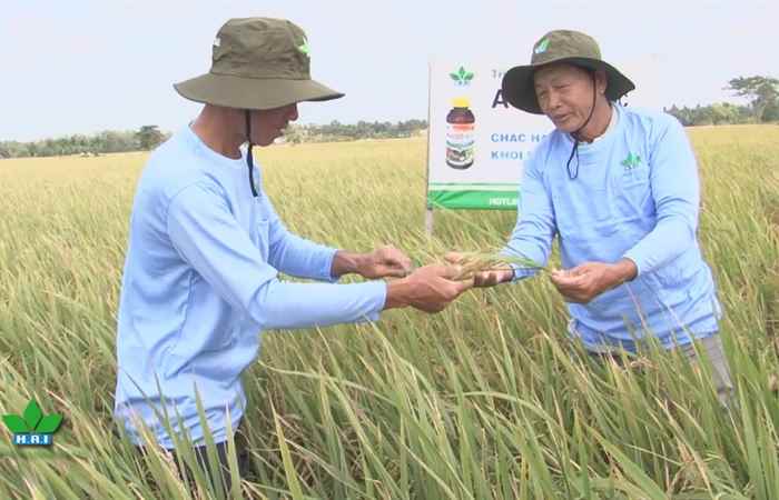 Nông dược hai thành công cùng nhà nông 04-07-2017