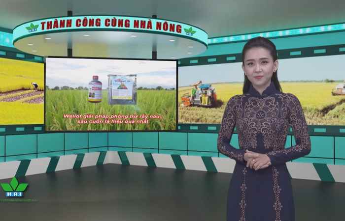 Nông dược hai thành công cùng nhà nông 20-06-2017