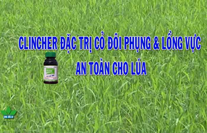 Nông dược hai thành công cùng nhà nông 23-05-2017