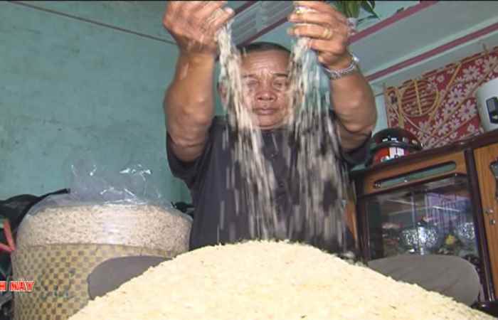 Nồng nàn hương cốm mới