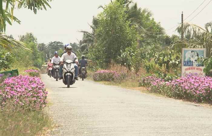 Nông thôn mới 03-03-2018