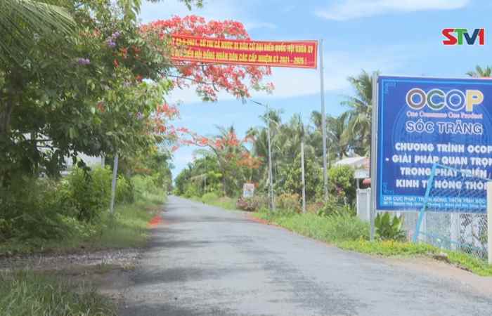Thuận Hưng phấn đấu về đích xã Nông thôn mới trong năm 2022(19-02-2022)