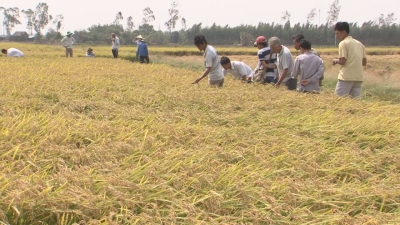 Nông thôn mới 28-05-2016