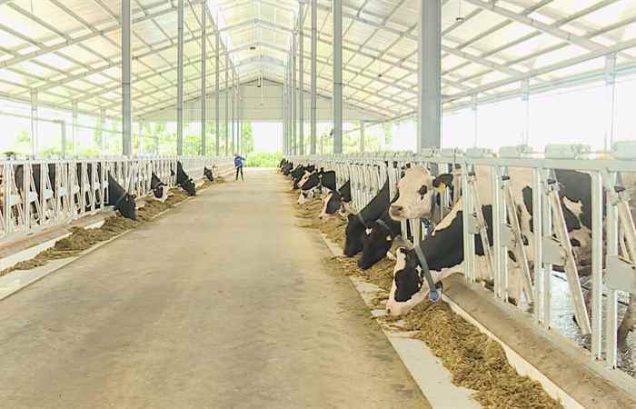 Pháp luật và Cuộc sống - Tiếng Khmer (20-10-2022)