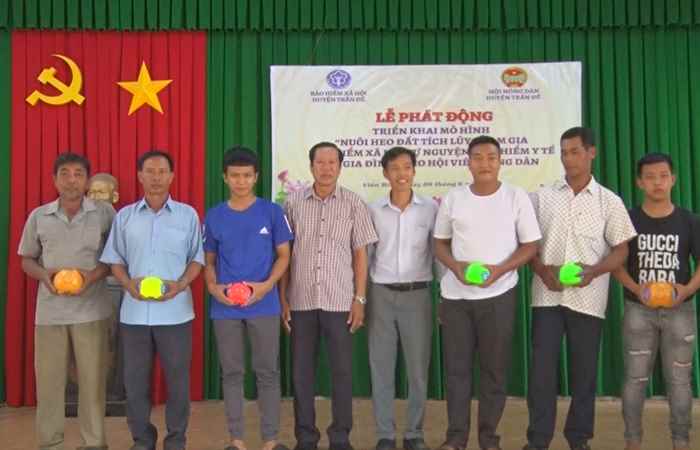 Phát động mô hình điểm "Nuôi heo đất tích lũy tham gia BHXH tự nguyện, BHYT hộ gia đình”