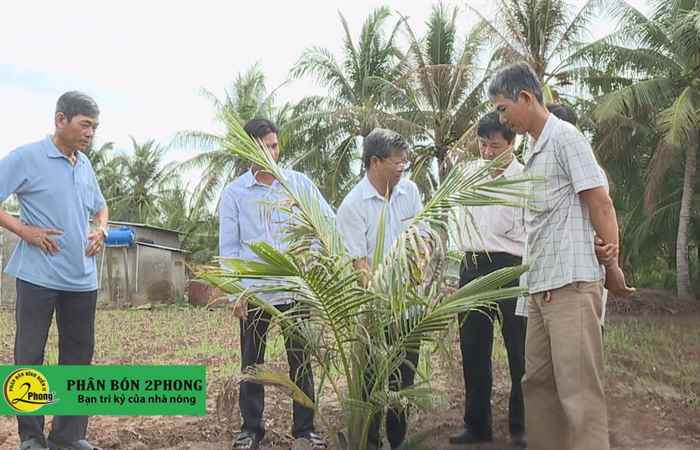 Phát huy vai trò kinh tế hợp tác trong xây dựng NTM (27-06-2020)