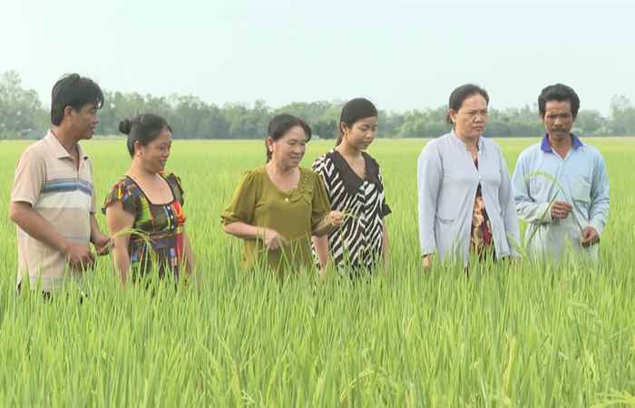 Phát triển kinh tế hợp tác trong vùng đồng bào dân tộc thiểu số (27-12-2023)