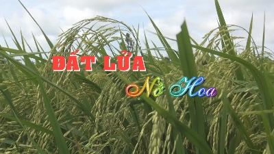 Phim tài liệu -  Đất lửa nở hoa