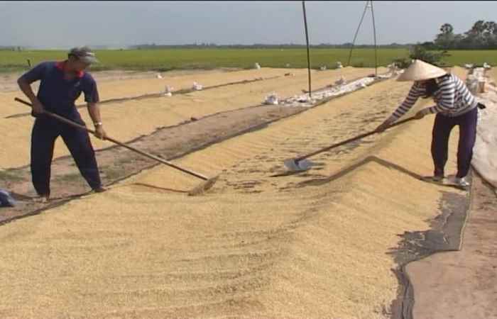 Phim tài liệu - Sóc Trăng 1 chặng đường - tập 6