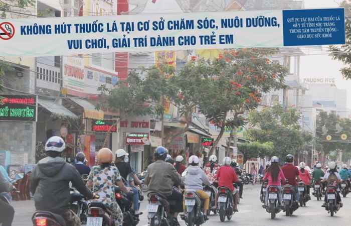 Phóng sự Các hoạt động phòng chống tác hại của thuốc lá 07-11-2018