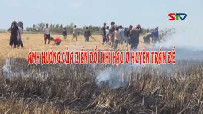 Phóng sự Ảnh hưởng của biến đổi khí hậu ở huyện Trần Đề 28-03-2016