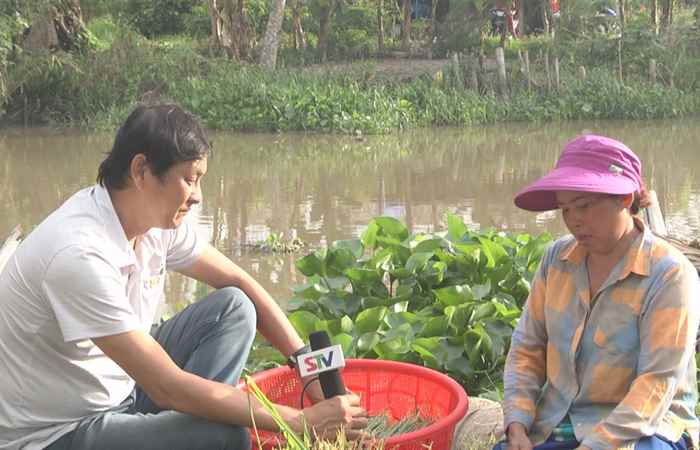 Phóng sự "Bà Bầu" ghe ngo (29-12-2023)