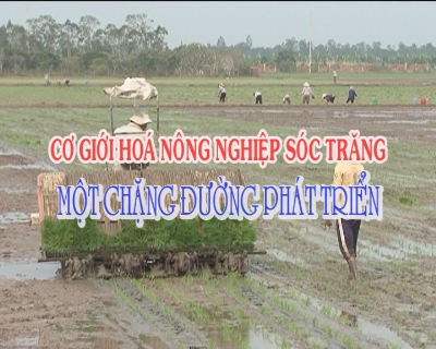 Phóng sự- Cơ giới hóa nông nghiệp Sóc Trăng một chặng đường phát triển