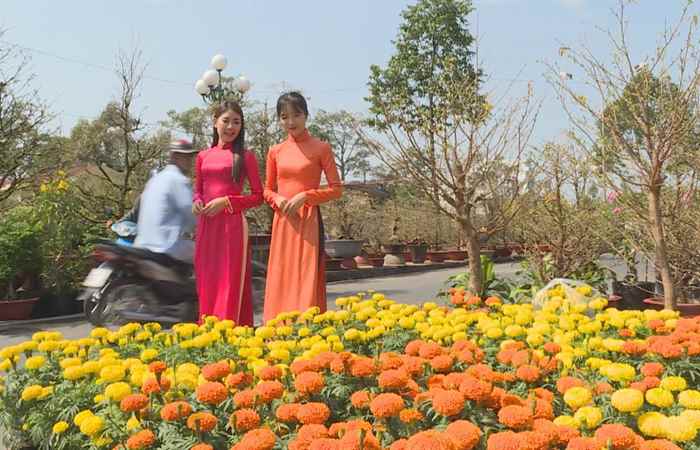 Phóng sự Góp thêm sắc xuân 04-02-2019