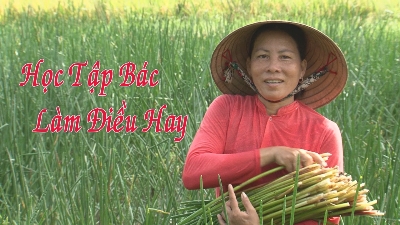 Phóng sự-Học tập Bác làm điều hay 03-11-2015