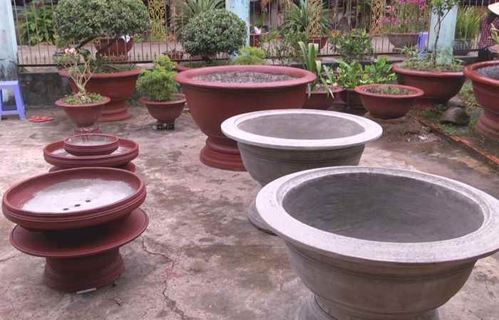 Phóng sự Người bán nghề 09-02-2018