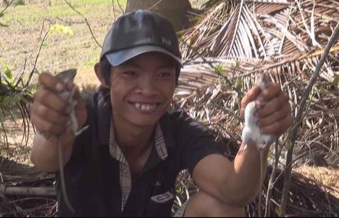 Phóng sự - Sa mưa...vô mùa đập chuột 15-05-2017