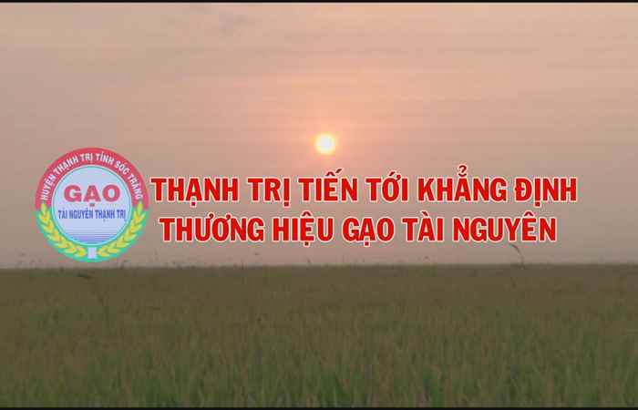 Phóng sự - Thạnh Trị tiến tới khẳng định thương hiệu gạo tài nguyên 28-04-2017