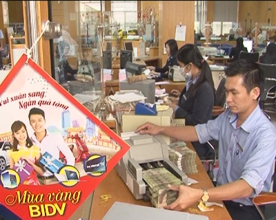 Phóng sự- Tín dụng cho kinh tế Sóc Trăng