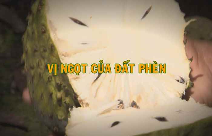 Phóng sự - Vị ngọt của đất Phèn 31-07-2017