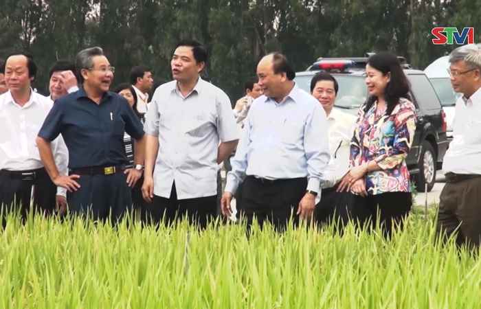 Phóng sự: Xuất khẩu gạo của Việt Nam - Những tín hiệu vui 21-01-2019